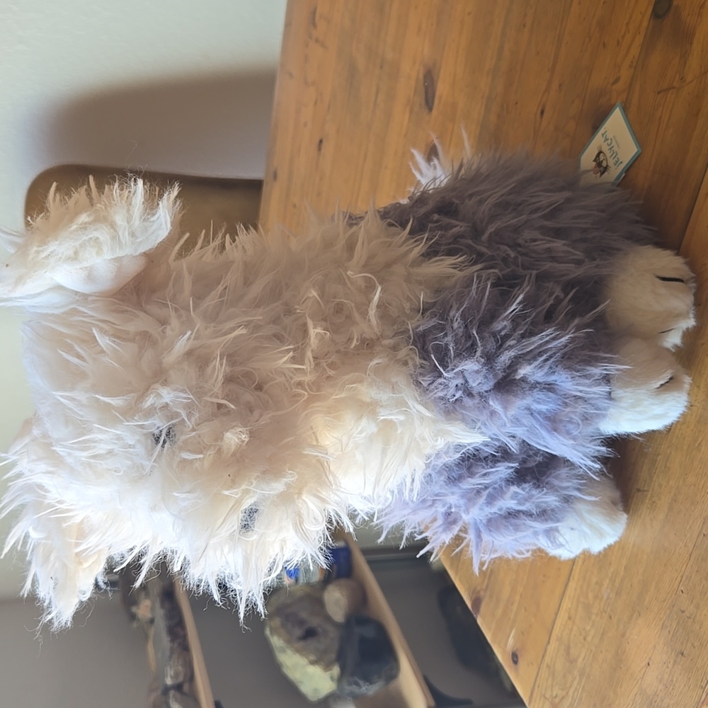 Jellycat Ewert Sheepdog 11x6.5x5'' Soft &  Plush BNWT Authentic - Picture 4 of 7